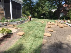 Installing Sod